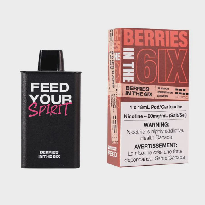Feed Pod System  Berries In The 6ix  9000 Puffs  20mg